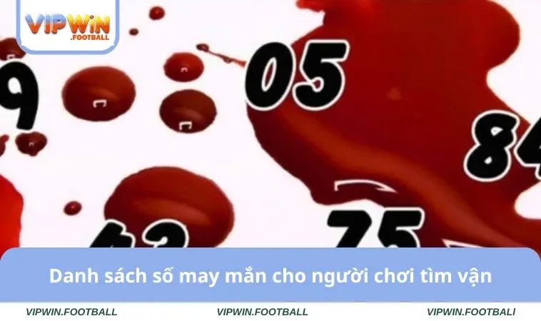 Nằm Mơ Thấy Máu Và Bí Mật Sổ Mơ Đi Tìm Vận May Bất Ngờ 2 Danh sách số may mắn cho người chơi tìm vận