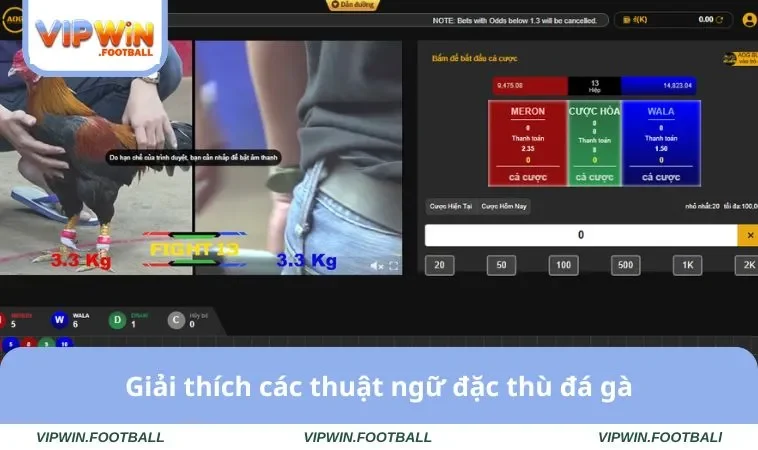 Giải thích các thuật ngữ đặc thù đá gà