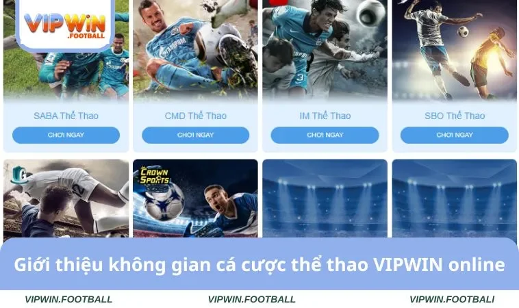 Thể Thao VIPWIN 1 Giới thiệu không gian cá cược thể thao VIPWIN online
