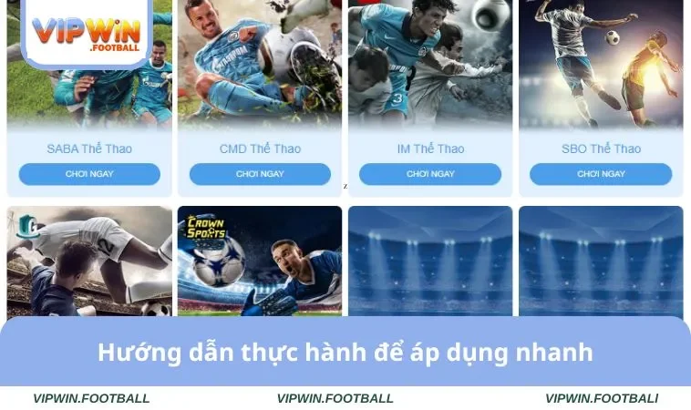 Cách Xem Odds Và Fix Chuẩn Xác Số 1 Trên Nhà Cái VIPWIN 3 Hướng dẫn thực hành để áp dụng nhanh