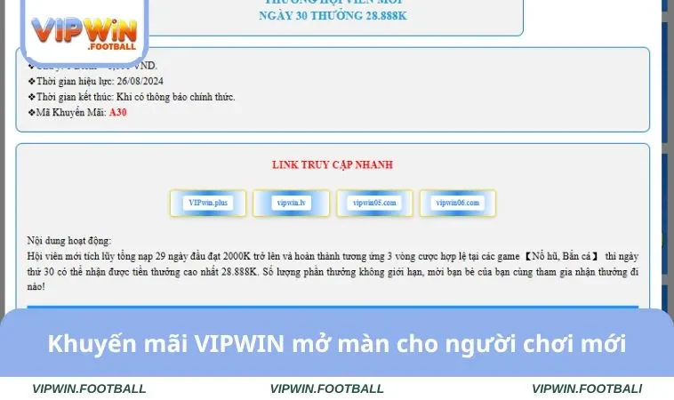 Khuyến mãi VIPWIN mở màn cho người chơi mới