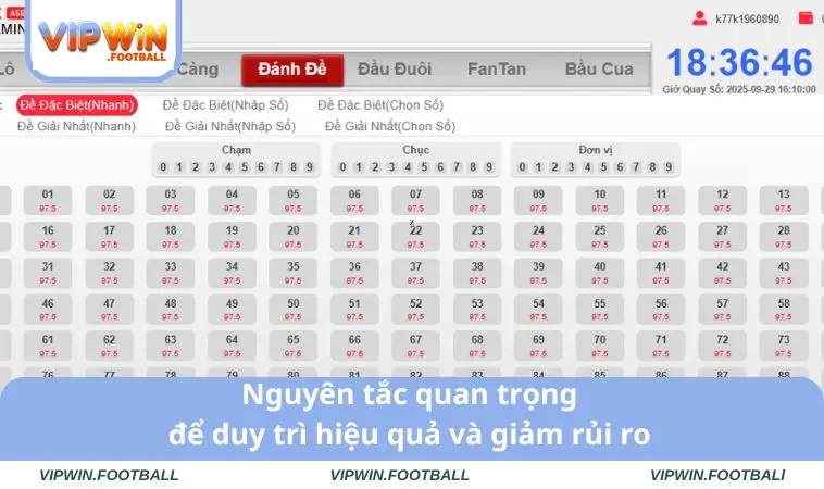 Nguyên tắc quan trọng để duy trì hiệu quả và giảm rủi ro