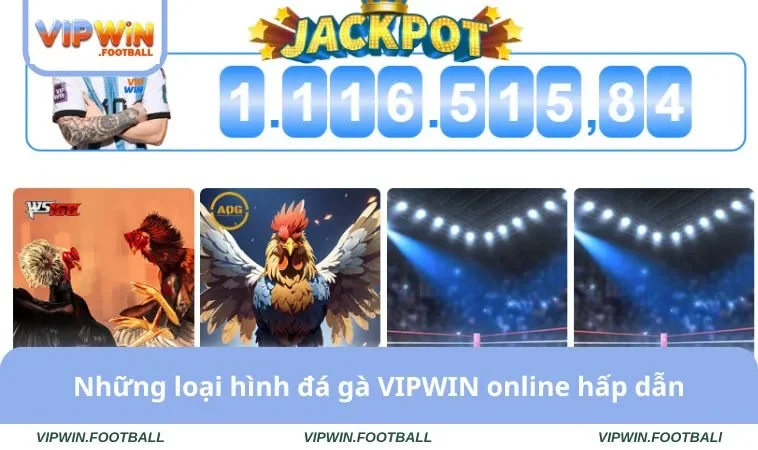 Những loại hình đá gà VIPWIN online hấp dẫn