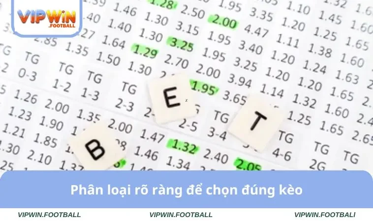 Cách Xem Odds Và Fix Chuẩn Xác Số 1 Trên Nhà Cái VIPWIN 2 Phân loại rõ ràng để chọn đúng kèo