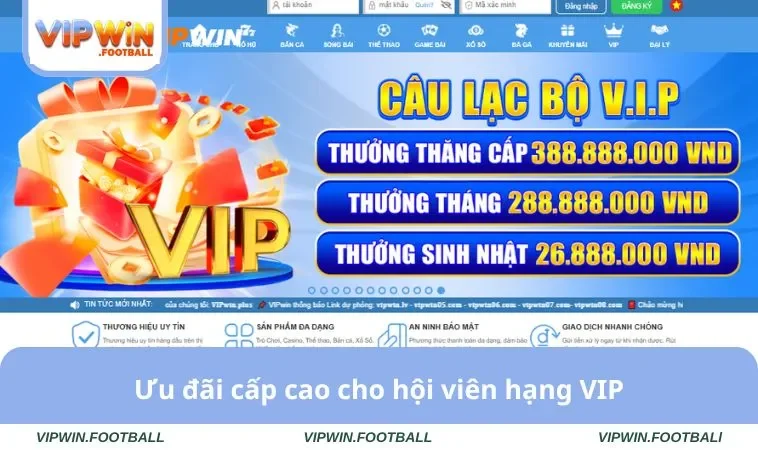 Ưu đãi cấp cao cho hội viên hạng VIP