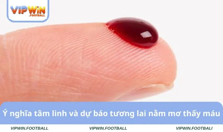 Nằm Mơ Thấy Máu Và Bí Mật Sổ Mơ Đi Tìm Vận May Bất Ngờ 1 Ý nghĩa tâm linh và dự báo tương lai nằm mơ thấy máu